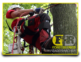 Forstbetrieb-Rademacher